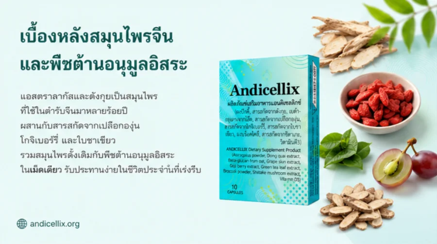 Andicellix — สมุนไพรจีนแอสตราลากัสและตังกุยผสมสารสกัดต้านอนุมูลอิสระ