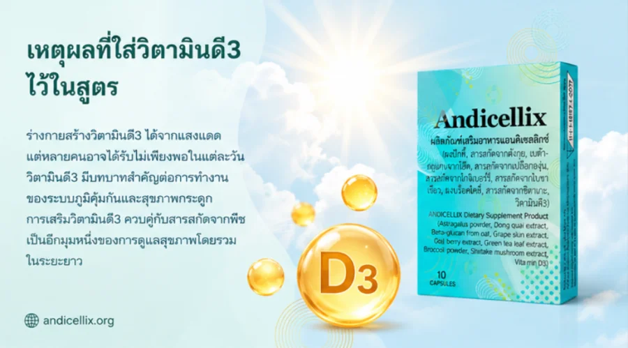 Andicellix — แคปซูลเสริมอาหารสำหรับกิจวัตรดูแลสุขภาพประจำวัน